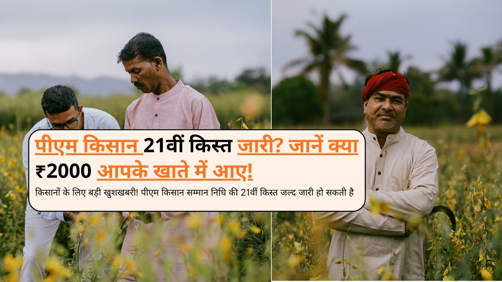 पीएम किसान सम्मान निधि 21वीं किस्त